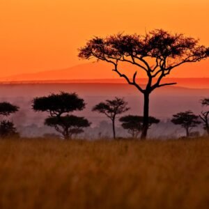 Omniverse Demo Product